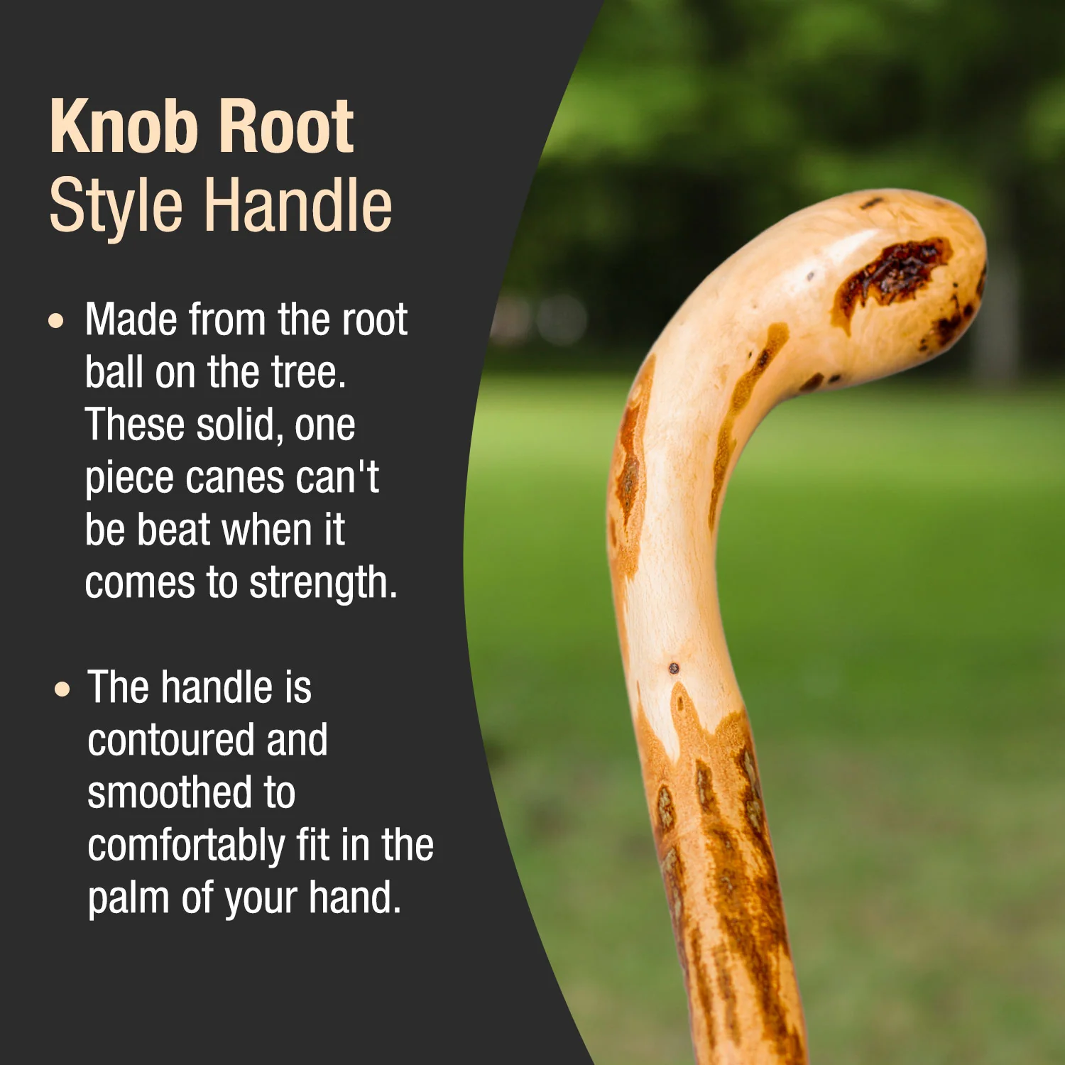 Assorted Hardwood Knob Root Rustic Walking Cane 37" - Image 3
