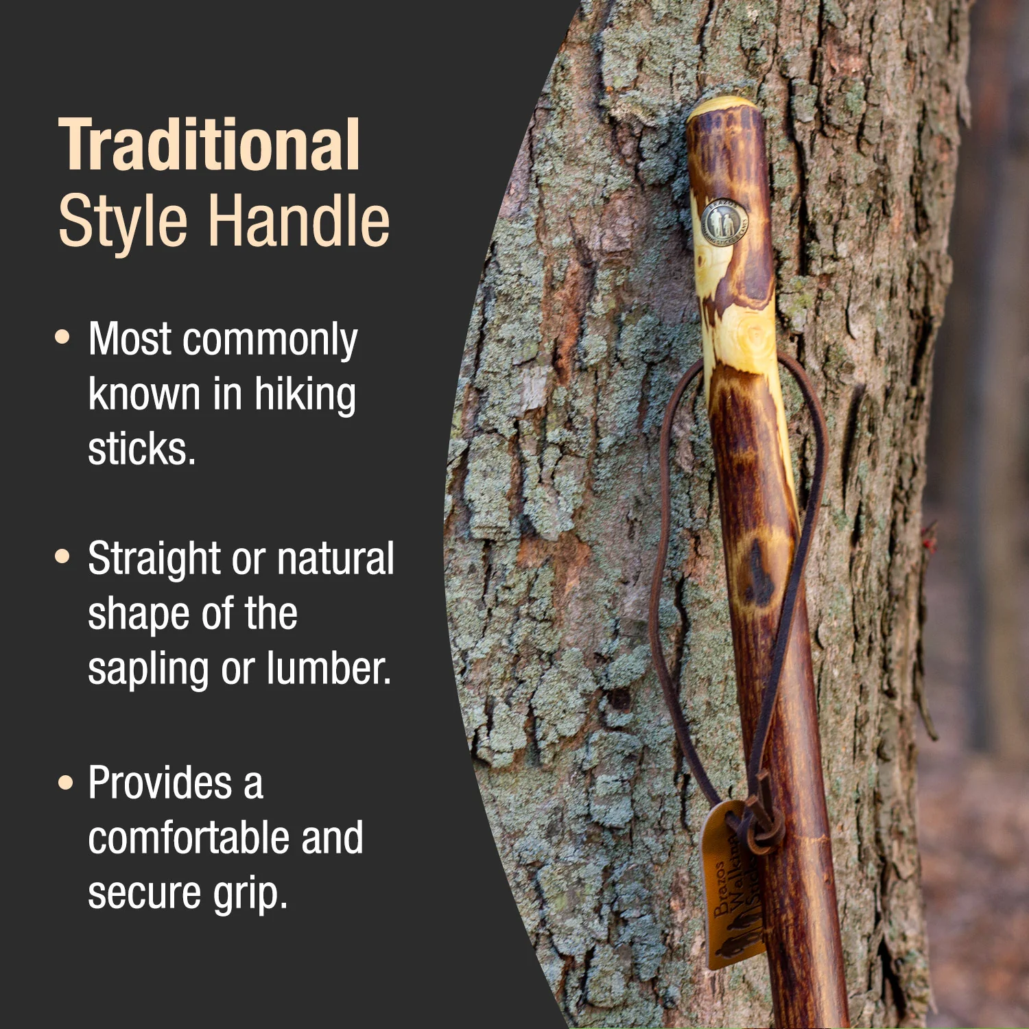 Hawthorn Rustic Walking Stick - Image 3