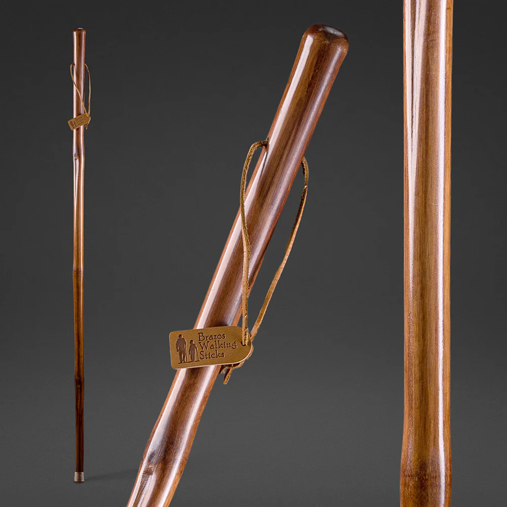 Iron Bamboo Rustic Walking Stick - Image 8