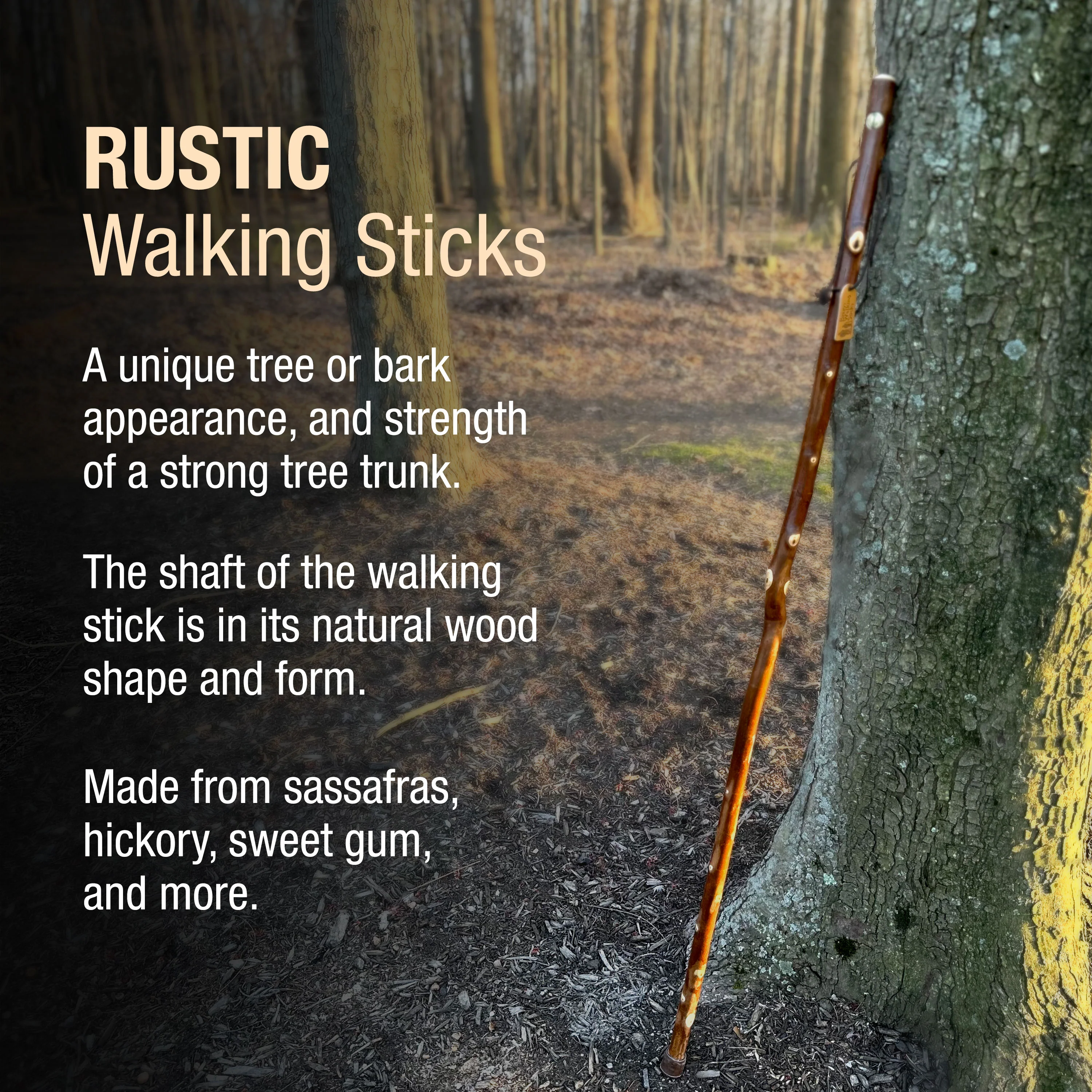 Maple Rustic Walking Stick 55" - Image 4