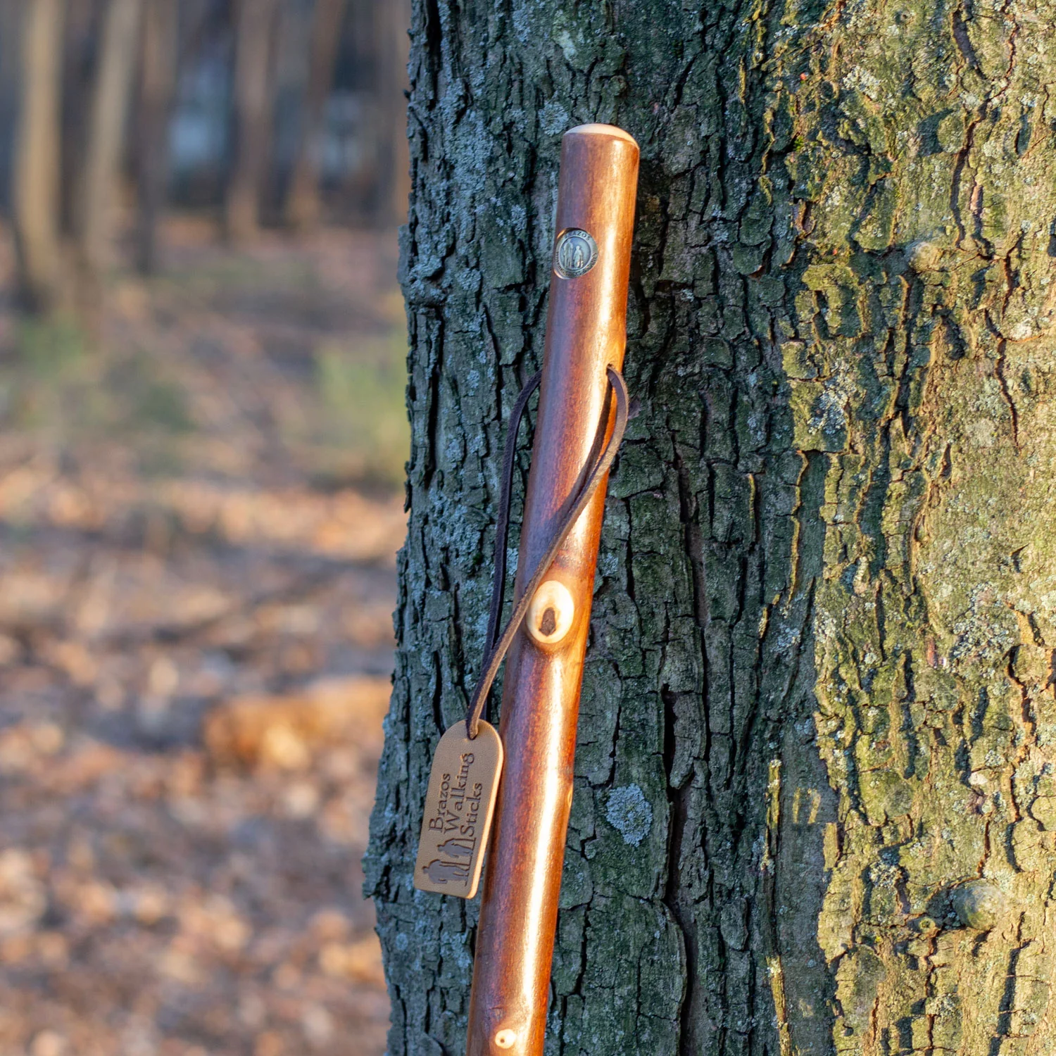 Maple Rustic Walking Stick 55" - Image 5