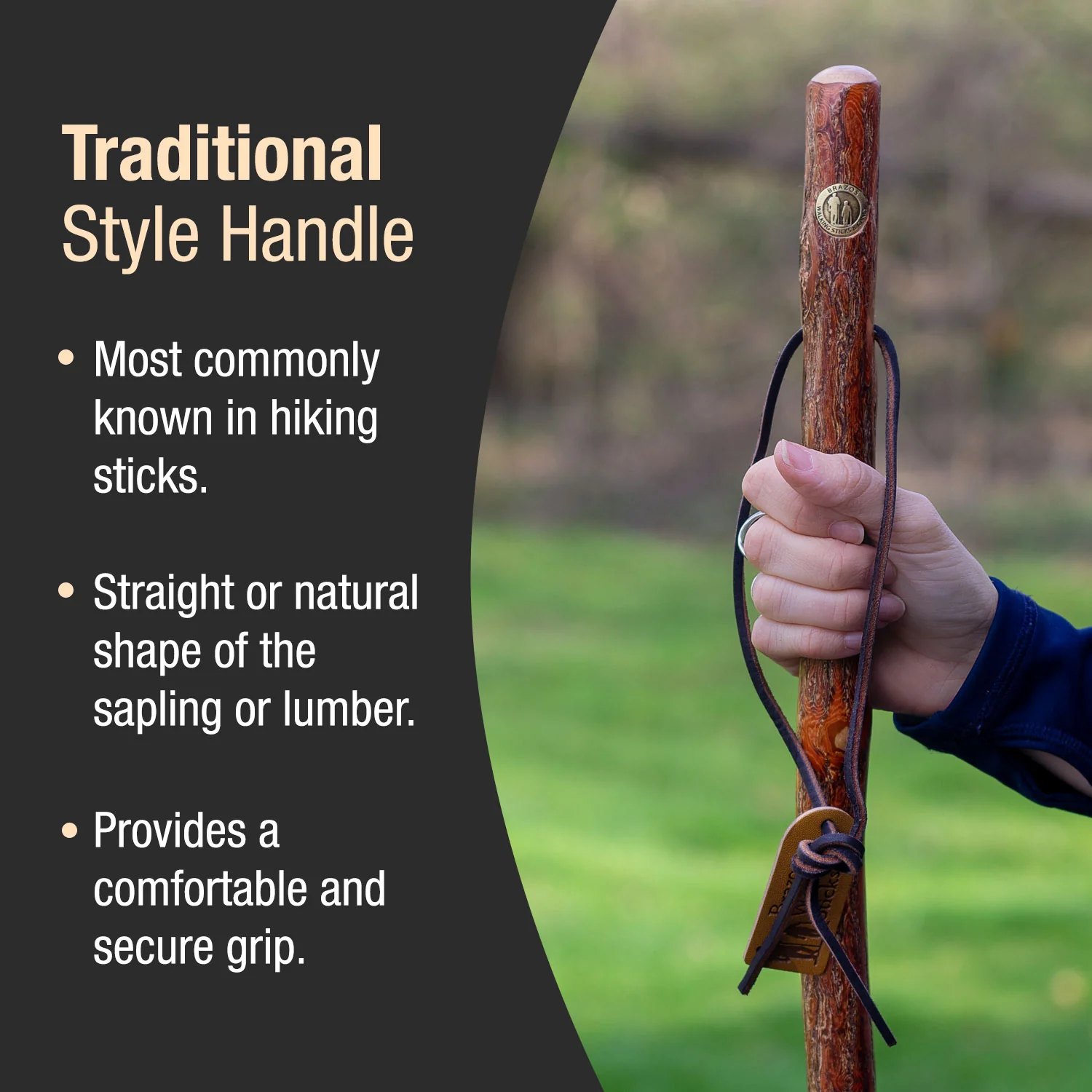 Sassafras Rustic Walking Stick 55" - Image 4
