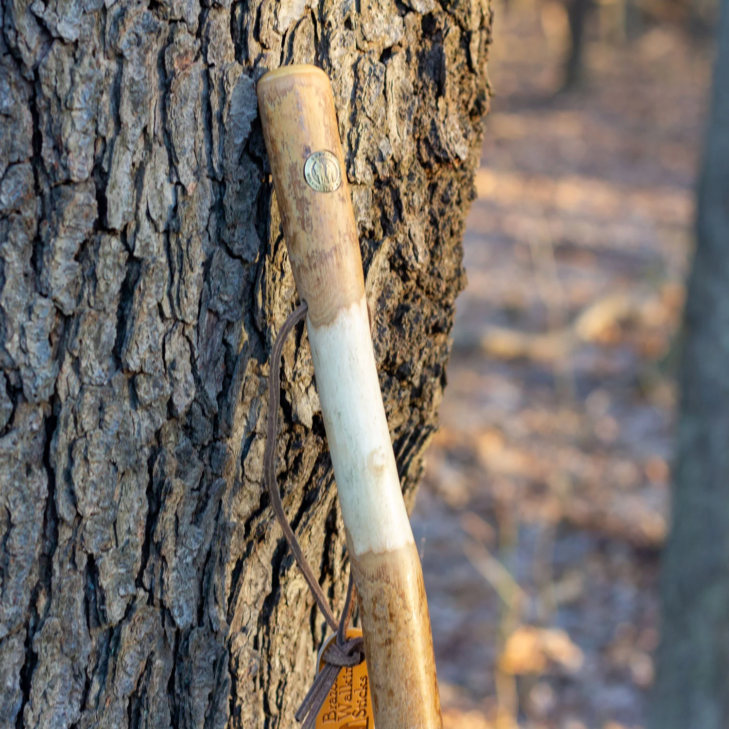 Twisted Assorted Hardwood Rustic Walking Stick 55" - Image 6