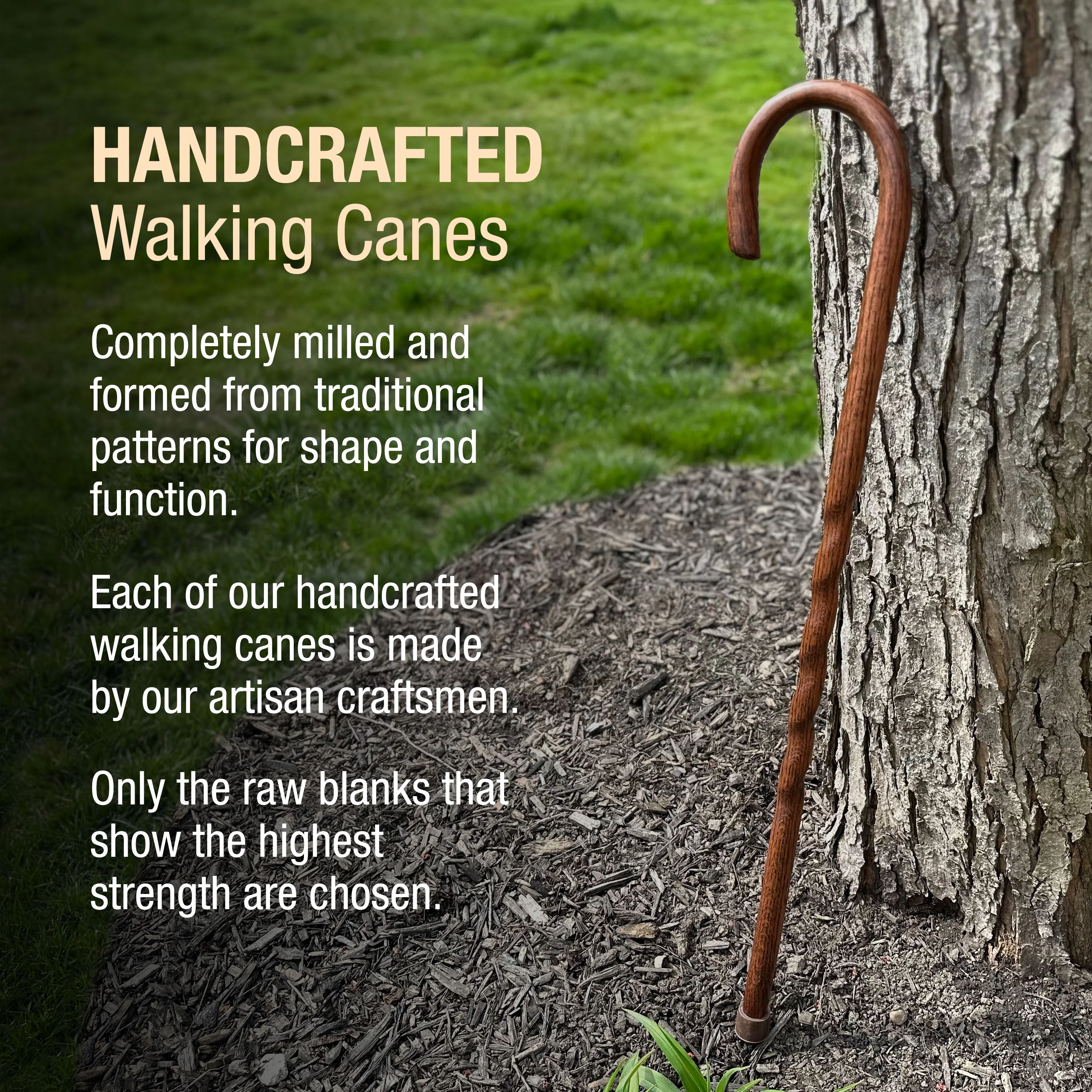 Twisted Oak Crook Neck Handcrafted Walking Cane 37" - Image 4