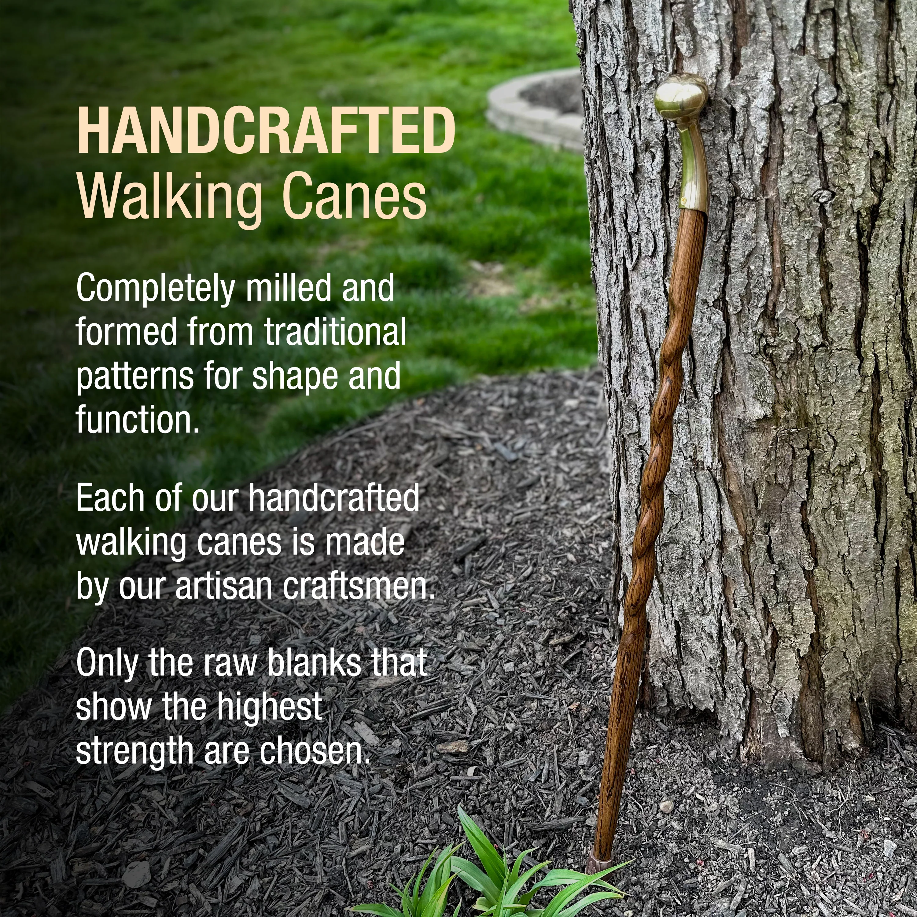 Twisted Brown Oak Hame Top Handcrafted Walking Cane 37" - Image 4
