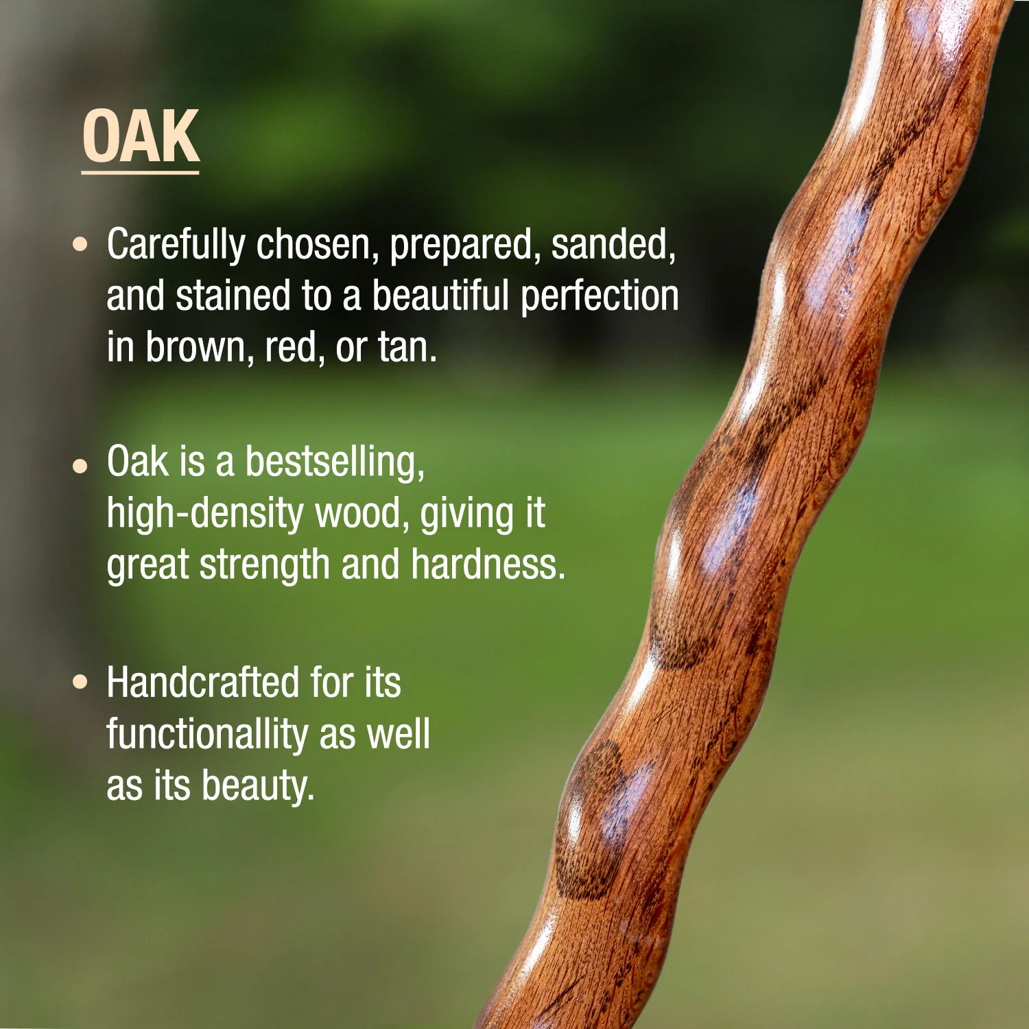 Twisted Oak Hitchhiker Handcrafted Walking Stick - Image 3