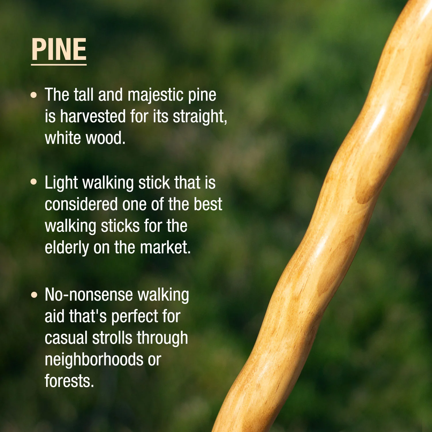 Twisted Pine Handcrafted Walking Stick 55" - Image 2