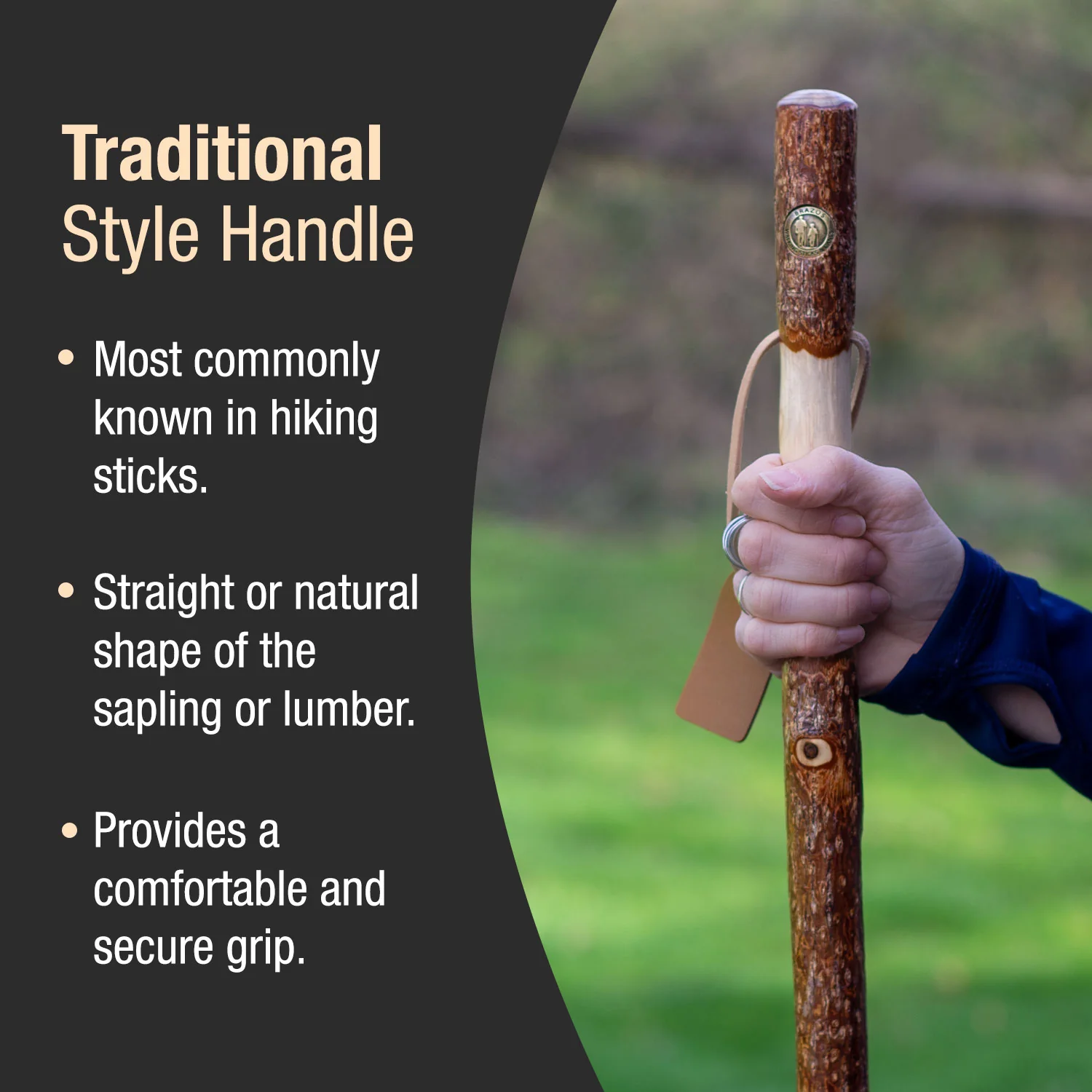 Twisted Sassafras Rustic Walking Stick - Image 4