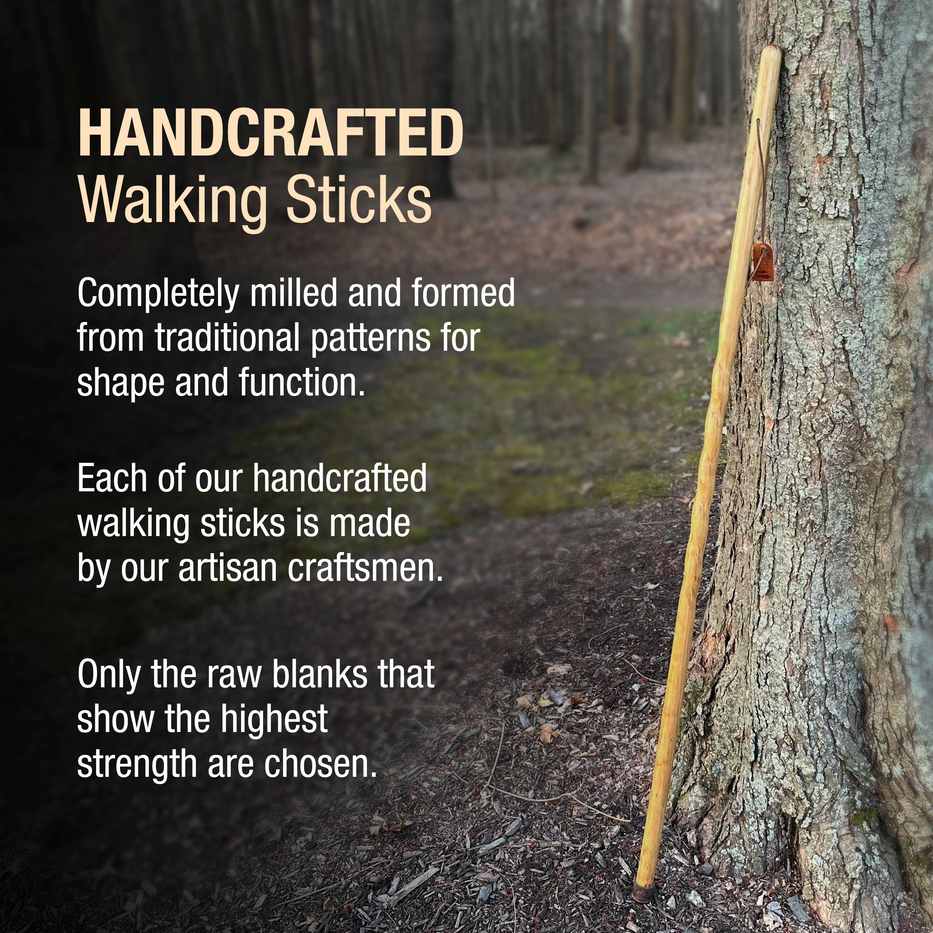 Twisted Trail Blazer Handcrafted Walking Stick, 55" - Image 5